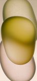 iPhone-15-yellow